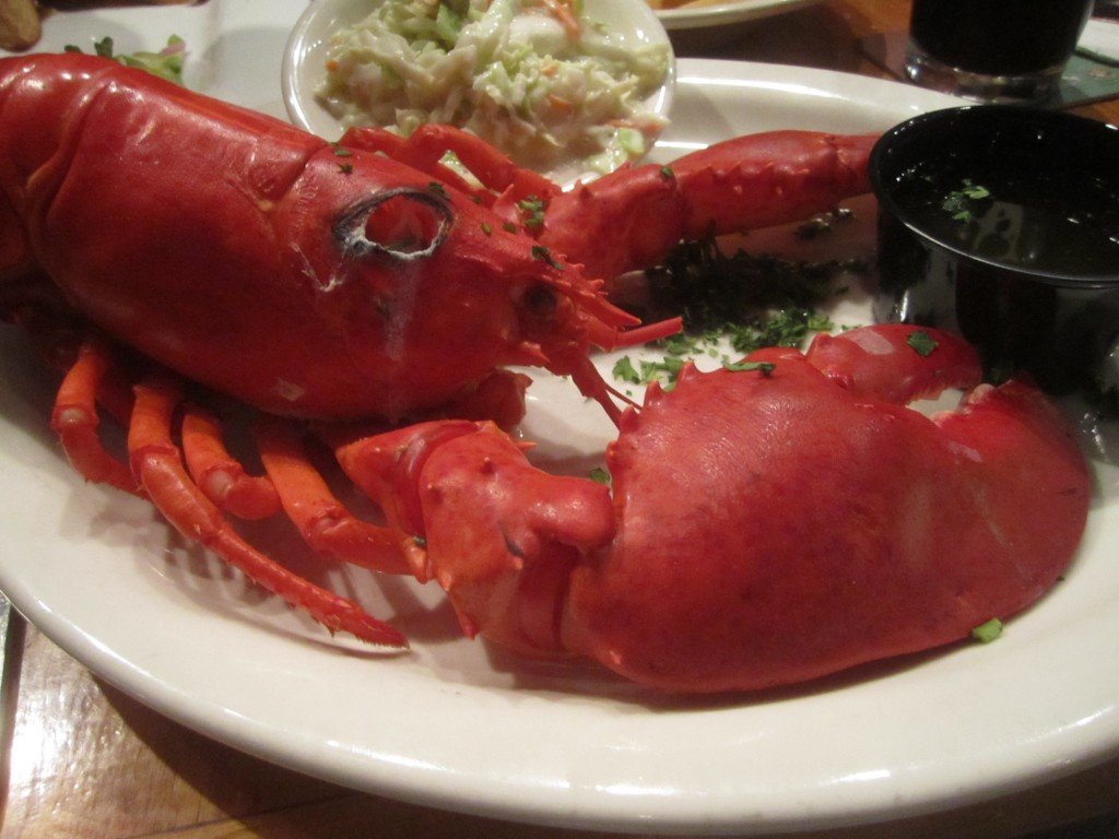 Lobster