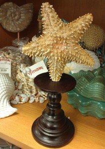 Starfish Pedestal